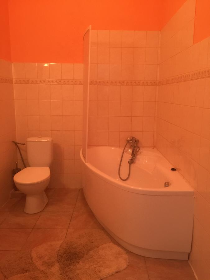 Hotel Dvorak Chrast ภายนอก รูปภาพ